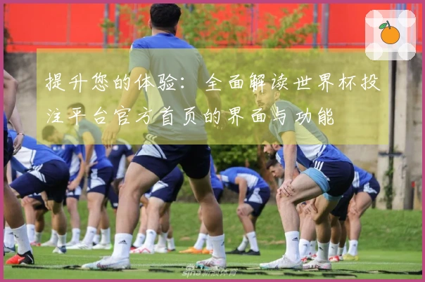 提升您的体验:全面解读世界杯投注平台官方首页的界面与功能