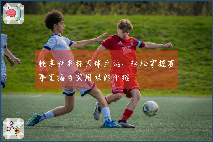 畅享世界杯买球主站，轻松掌握赛事直播与实用功能介绍