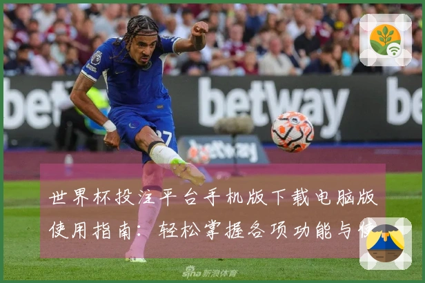 世界杯投注平台手机版下载电脑版使用指南：轻松掌握各项功能与使用技巧