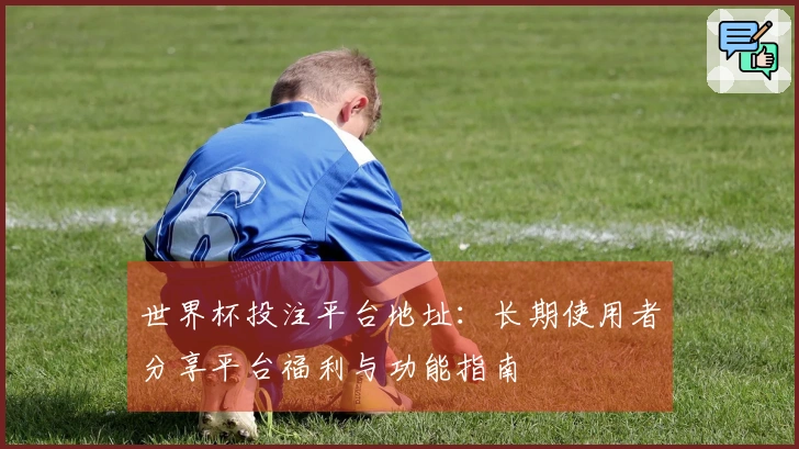 世界杯投注平台地址：长期使用者分享平台福利与功能指南