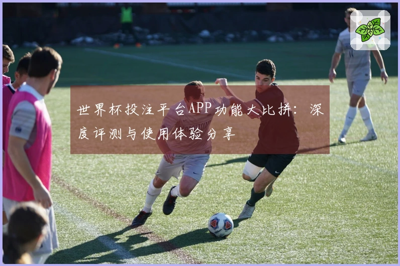 世界杯投注平台APP功能大比拼：深度评测与使用体验分享