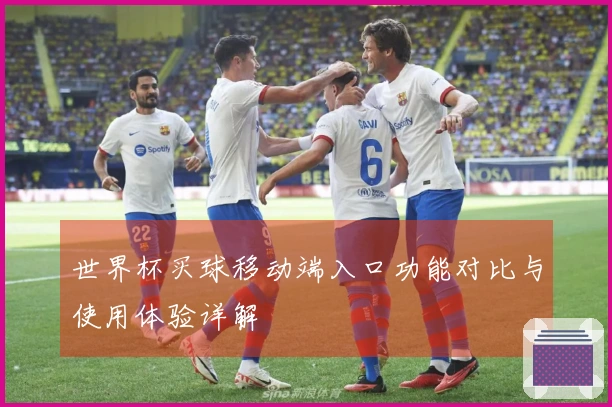 世界杯买球移动端入口功能对比与使用体验详解