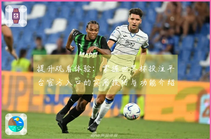 提升观看体验：掌握世界杯投注平台官方入口的实用技巧与功能介绍