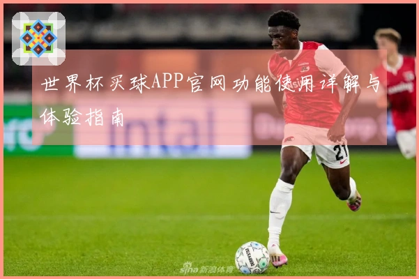 世界杯买球APP官网功能使用详解与体验指南