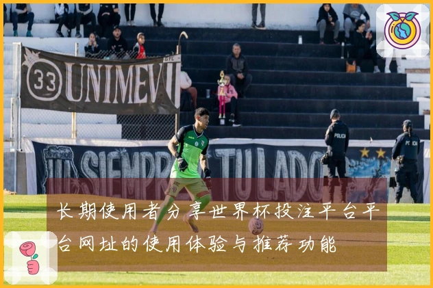 长期使用者分享世界杯投注平台平台网址的使用体验与推荐功能