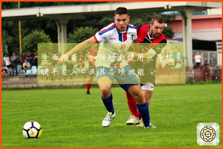 全面指南：如何顺利使用世界杯竞猜平台入口及其各项功能
