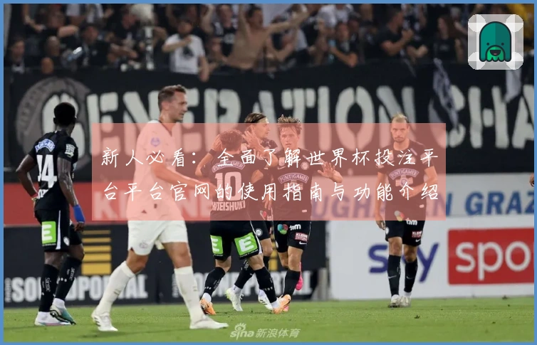 新人必看：全面了解世界杯投注平台平台官网的使用指南与功能介绍