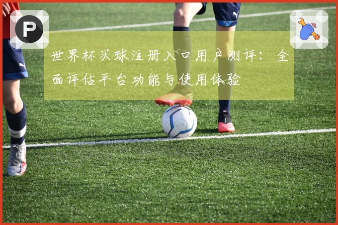 世界杯买球注册入口用户测评:全面评估平台功能与使用体验