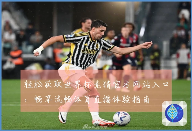 轻松获取世界杯竞猜官方网站入口，畅享流畅体育直播体验指南