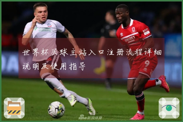 世界杯买球主站入口注册流程详细说明及使用指导