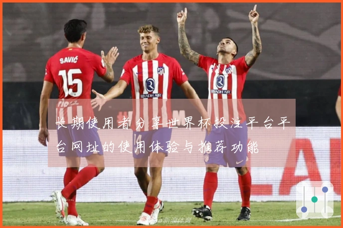长期使用者分享世界杯投注平台平台网址的使用体验与推荐功能