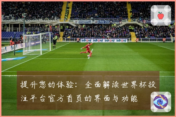提升您的体验：全面解读世界杯投注平台官方首页的界面与功能