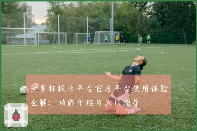 世界杯投注平台官方平台使用体验全解：功能介绍与入门指导